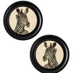 Ashton And Barrow Vintage Zebra C.1890 - Round Glass-Framed Print (Left Facing) NEW IN! 5 Ashton And Barrow Vintage Zebra C.1890 - Round Glass-Framed Print (Left Facing) NEW IN!