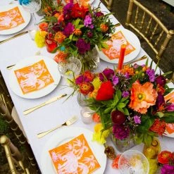 Talking Tables Posh Orange Boho Elephant Paper Napkins (Pack Of 20) Party