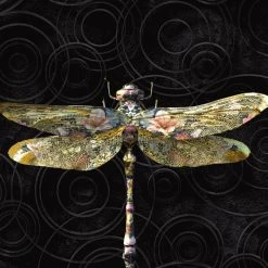 Ashton And Barrow NEW IN! Floral Dragonfly Luxury Wallpaper - Opulence Collection, Absolute Black (10m Length)