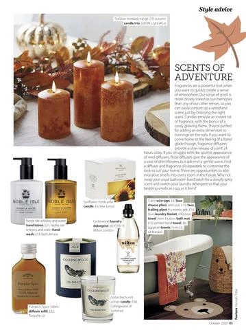 Collingwood Of Somerset Collingwood Cedar Birch & Vetiver Luxury Scented Candle (27cl) 4 Collingwood Of Somerset Collingwood Cedar Birch & Vetiver Luxury Scented Candle (27cl)