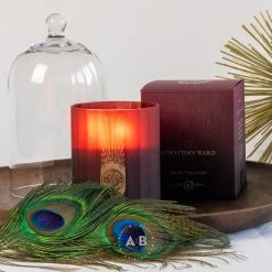 Candles & Home Scents Jonathan Ward 'Fig Ultimatum' Intense Fragrance Scented Candle