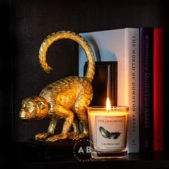 Ashton And Barrow Under $30 Golden Monkey Book Ends