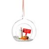 Sass & Belle Santa Stop Here Dome | Luxury Glass Christmas Bauble Tree Decoration