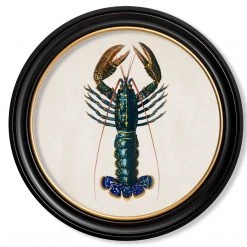 Ashton And Barrow NEW IN! Vintage Lobster C.1876 - Round Glass-Framed Print - Made In Britain