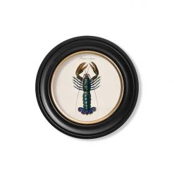 Ashton And Barrow Vintage Marine Life Collection C.1876 - Set Of 4 Round Glass Framed Prints - Made In Britain NEW IN!