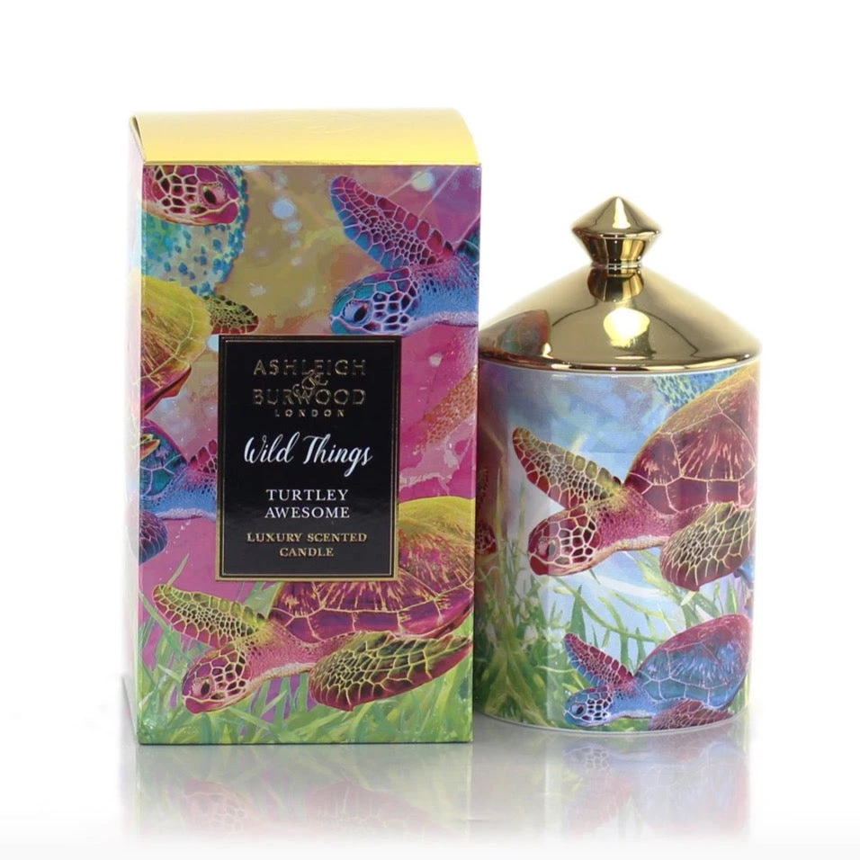 Ashleigh & Burwood 'Turtley Awesome' Wild Things Candle (Bergamot & Grapefruit) Candles & Home Scents 1 Ashleigh & Burwood 'Turtley Awesome' Wild Things Candle (Bergamot & Grapefruit) Candles & Home Scents
