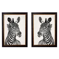 Ashton And Barrow Vintage Zebra C.1890 - Rectangular Glass-Framed Print With Gold Detail (Left Facing)