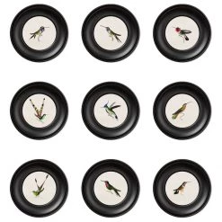 Ashton And Barrow Vintage Hummingbirds C.1835 - Mini Round Glass-Framed Print Art & Prints