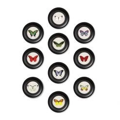 Ashton And Barrow Vintage Tropical Butterfly C.1835 - Mini Round Glass-Framed Print With Gold Detail Art & Prints