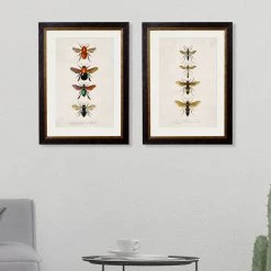 Ashton And Barrow Art & Prints Vintage Bees C.1892 - Rectangular Glass-Framed Print