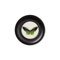 Ashton And Barrow Vintage Tropical Butterfly C.1835 - Mini Round Glass-Framed Print With Gold Detail Art & Prints
