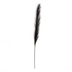 Ashton And Barrow NEW IN! Black Faux Pampas Grass Stems - 78cm (set Of 4)