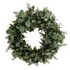 Ashton And Barrow Green Eucalyptus & Foliage Wreath - 46cm
