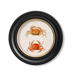 Ashton And Barrow Vintage Crabs C.1876 - Round Glass-Framed Print - Made In Britain - Marine Life