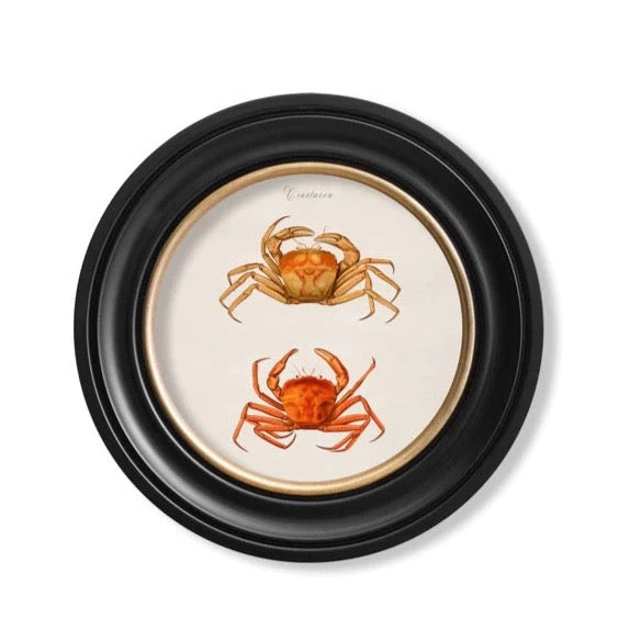 Ashton And Barrow Vintage Crabs C.1876 - Round Glass-Framed Print - Made In Britain - Marine Life 2 Ashton And Barrow Vintage Crabs C.1876 - Round Glass-Framed Print - Made In Britain - Marine Life