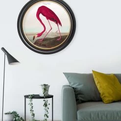 Ashton And Barrow Vintage Flamingo C.1838, Round Framed Print
