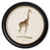 Ashton And Barrow Art & Prints Vintage Giraffe On White Background C.1836 - Round Glass-Framed Print With Gold Detail
