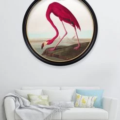 Ashton And Barrow Vintage Flamingo C.1838, Round Framed Print