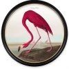 Ashton And Barrow Vintage Flamingo C.1838, Round Framed Print