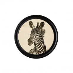Ashton And Barrow Vintage Zebra C.1890 - Round Glass-Framed Print (Left Facing) NEW IN!