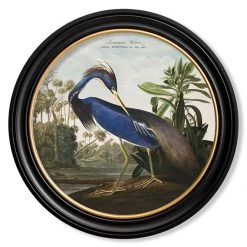 Ashton And Barrow Art & Prints Vintage Blue Heron C.1838, Round Framed Print
