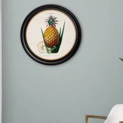 Ashton And Barrow Vintage Pineapple Plant C.1843 - Round Glass-Framed Print With Gold Detail Art & Prints