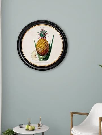 Ashton And Barrow Vintage Pineapple Plant C.1843 - Round Glass-Framed Print With Gold Detail Art & Prints 2 Ashton And Barrow Vintage Pineapple Plant C.1843 - Round Glass-Framed Print With Gold Detail Art & Prints
