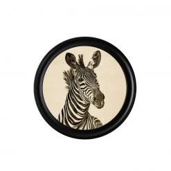 Ashton And Barrow NEW IN! Vintage Zebra C.1890 - Round Glass-Framed Print (Right Facing)