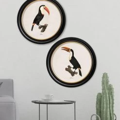 Ashton And Barrow Art & Prints Vintage Toucan, Facing Left C.1809, Round Glass-Framed Print 5 Ashton And Barrow Art & Prints Vintage Toucan, Facing Left C.1809, Round Glass-Framed Print