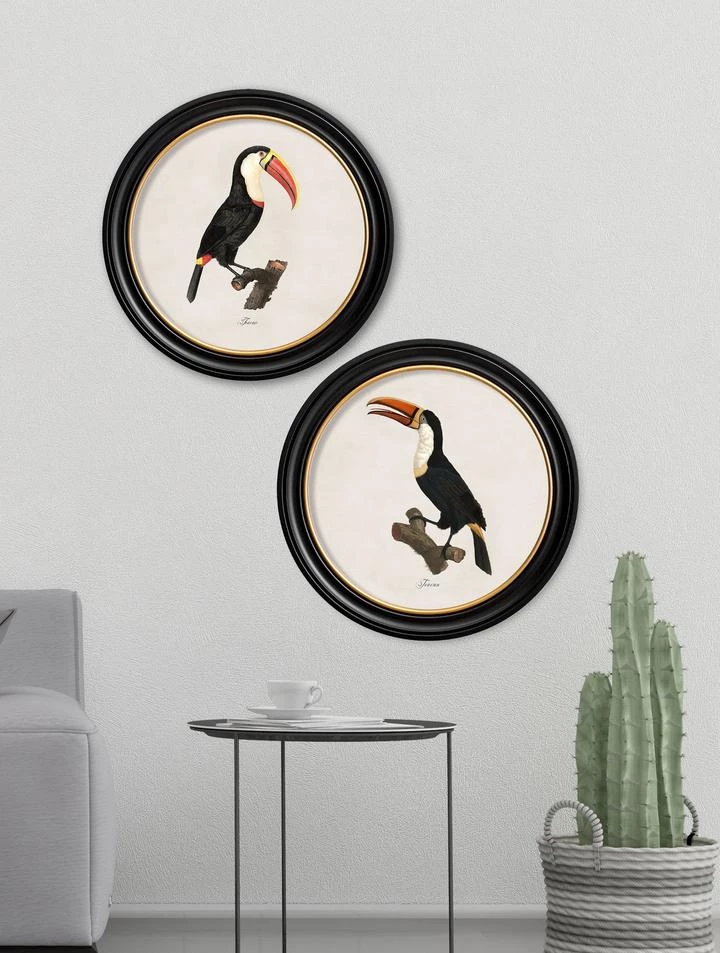Ashton And Barrow Art & Prints Vintage Toucan, Facing Left C.1809, Round Glass-Framed Print 3 Ashton And Barrow Art & Prints Vintage Toucan, Facing Left C.1809, Round Glass-Framed Print