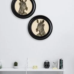 Ashton And Barrow NEW IN! Vintage Zebra C.1890 - Round Glass-Framed Print (Right Facing) 5 Ashton And Barrow NEW IN! Vintage Zebra C.1890 - Round Glass-Framed Print (Right Facing)