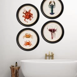 Ashton And Barrow NEW IN! Vintage Octopus C.1876 - Round Glass-Framed Print