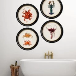 Ashton And Barrow Vintage Marine Life Collection C.1876 - Set Of 4 Round Glass Framed Prints - Made In Britain NEW IN!