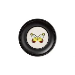 Ashton And Barrow Vintage Tropical Butterfly C.1835 - Mini Round Glass-Framed Print With Gold Detail Art & Prints